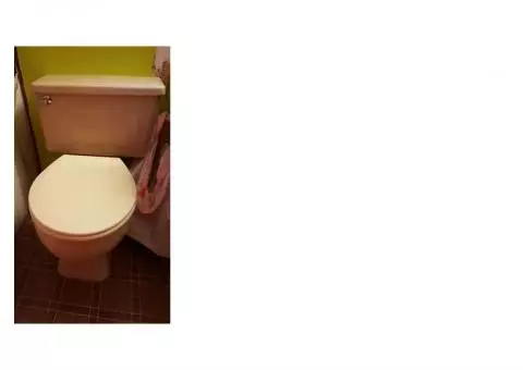 Toilet for Sale