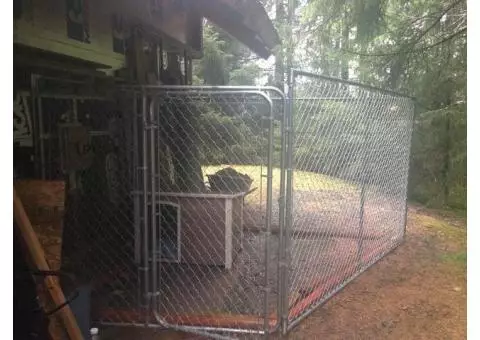 Chain Link Dog Kennel and Dog House